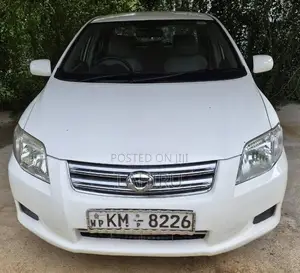Toyota Corolla Axio 2007 Car (Used)