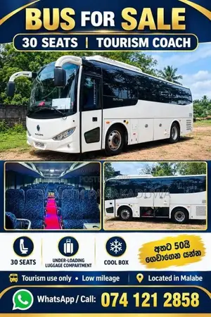 Micro Sunlong 2018 Bus (Used)