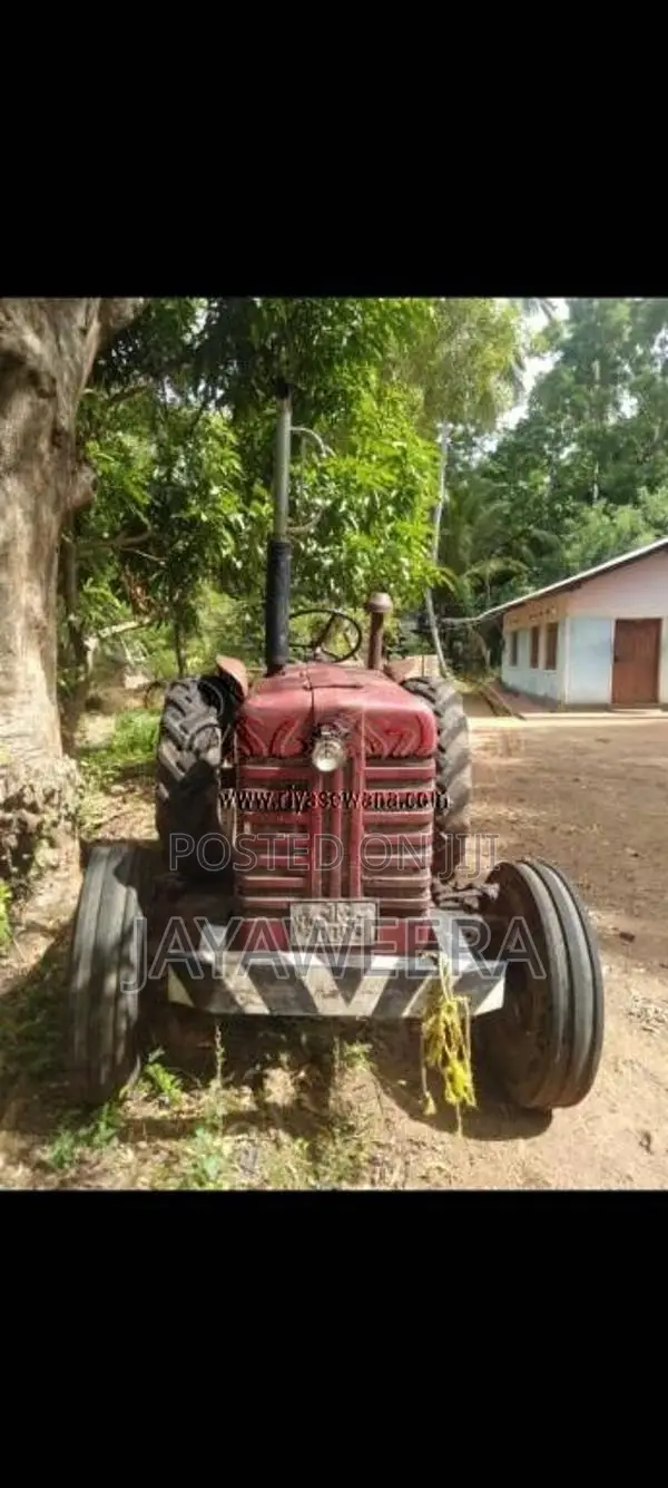 TAFE TAFE 2013 Tractor (Used)