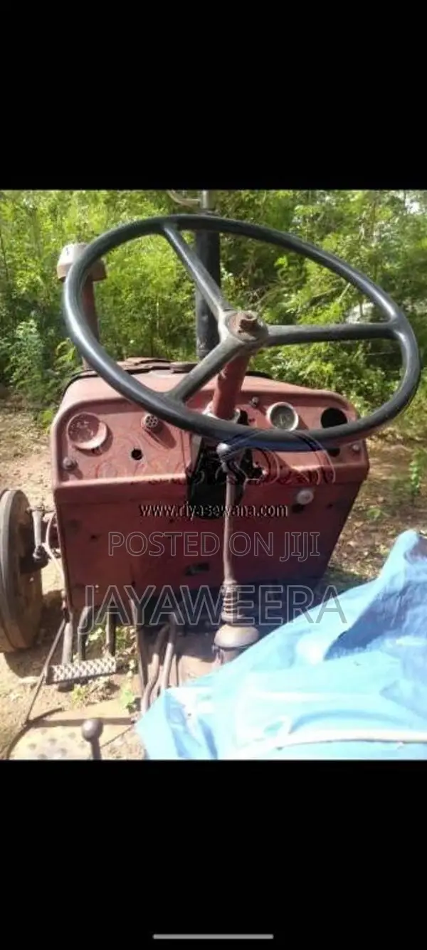 TAFE TAFE 2013 Tractor (Used)