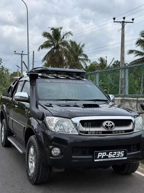 Toyota Hilux Vigo 2010 Pickup (Used)
