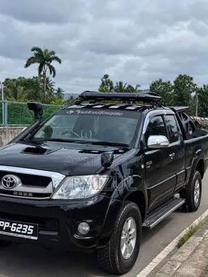Toyota Hilux Vigo 2010 Pickup (Used)