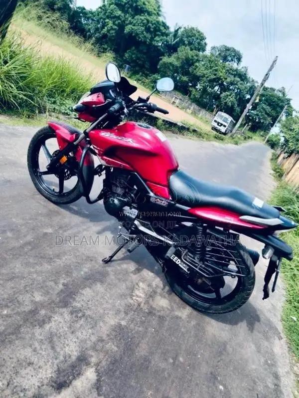 Hero Hunk Double Disk 2017 Motorbike (Used)
