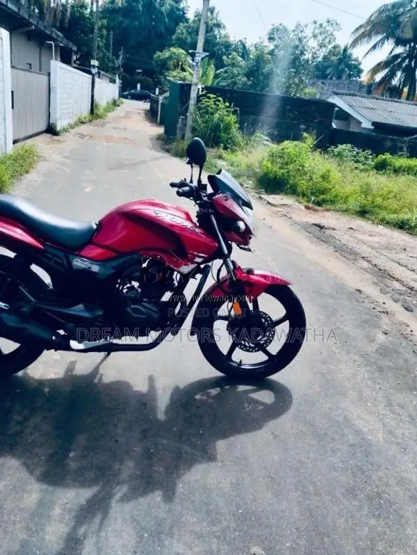 Hero Hunk Double Disk 2017 Motorbike (Used)