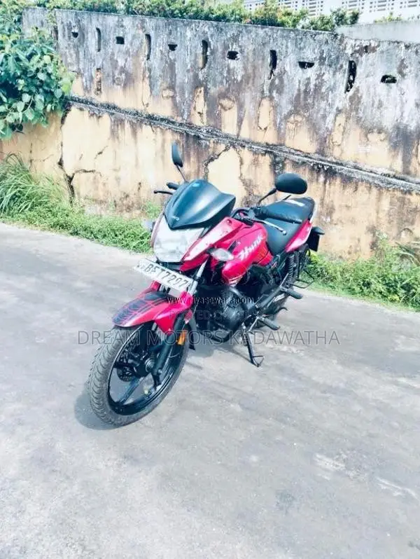 Hero Hunk Double Disk 2017 Motorbike (Used)