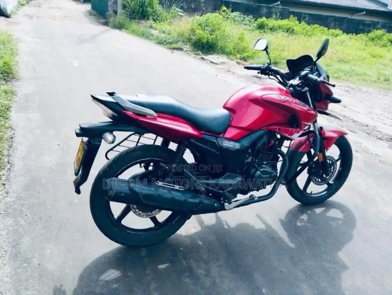 Hero Hunk Double Disk 2017 Motorbike (Used)