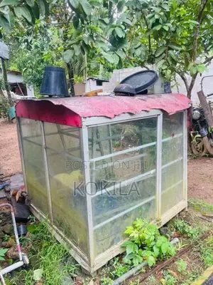 චූන් පාන් බක්කිය chuun pan bakkiya for All