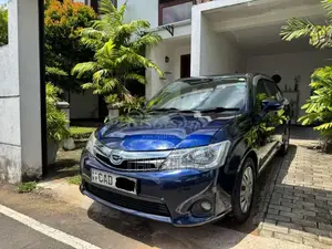 Toyota Axio 2013 Car (Used)