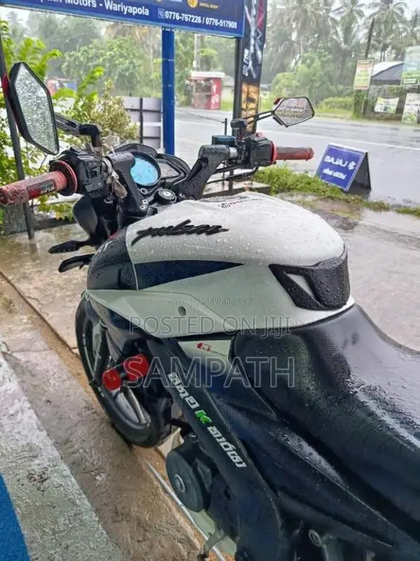 Bajaj NS 160 2019 Motorbike (Used)
