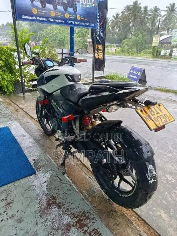 Bajaj NS 160 2019 Motorbike (Used)