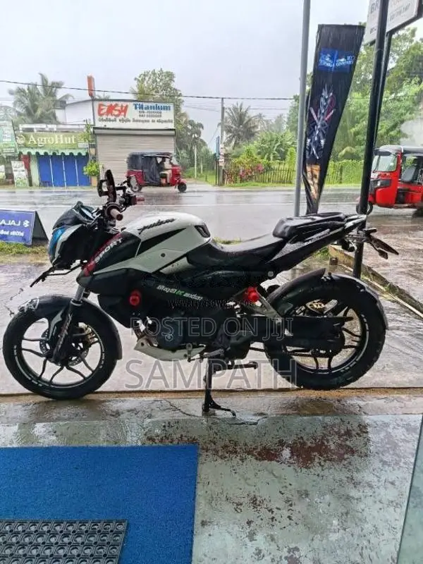 Bajaj NS 160 2019 Motorbike (Used)
