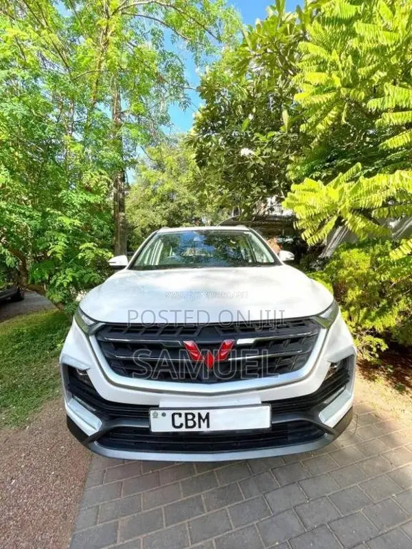Micro Almaz 2022 SUV (Used)