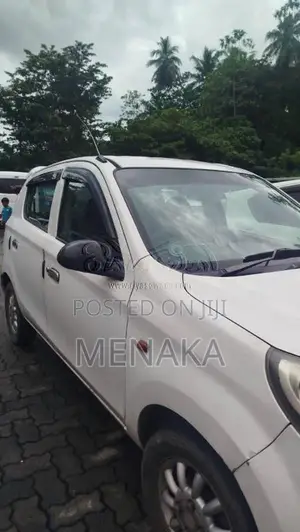 Suzuki Alto 2015 Car (Used)