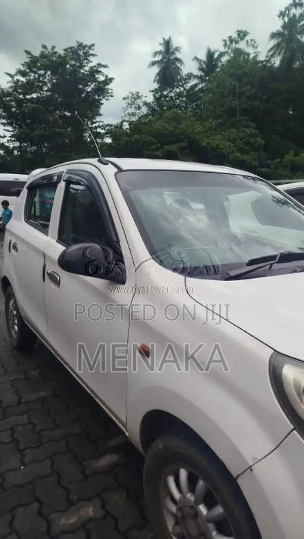 Suzuki Alto 2015 Car (Used)
