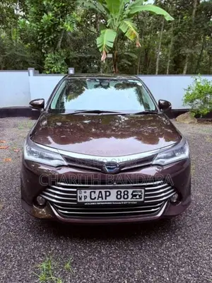 Toyota Axio G Grade 2016 Car (Used)