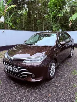 Toyota Axio G Grade 2016 Car (Used)