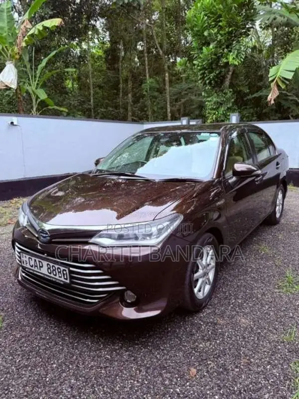 Toyota Axio G Grade 2016 Car (Used)
