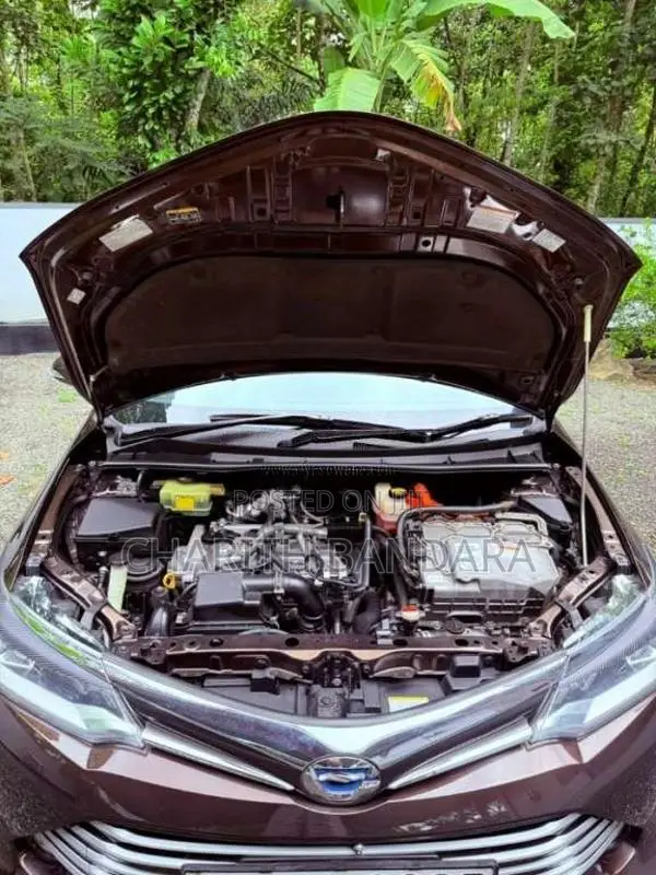 Toyota Axio G Grade 2016 Car (Used)