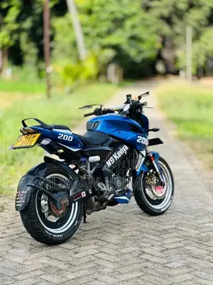 Bajaj Pulsar NS200 2019 Motorbike (Used)