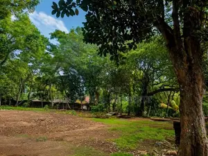 Land for Sale In Dehiwala