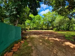 Land for Sale In Dehiwala