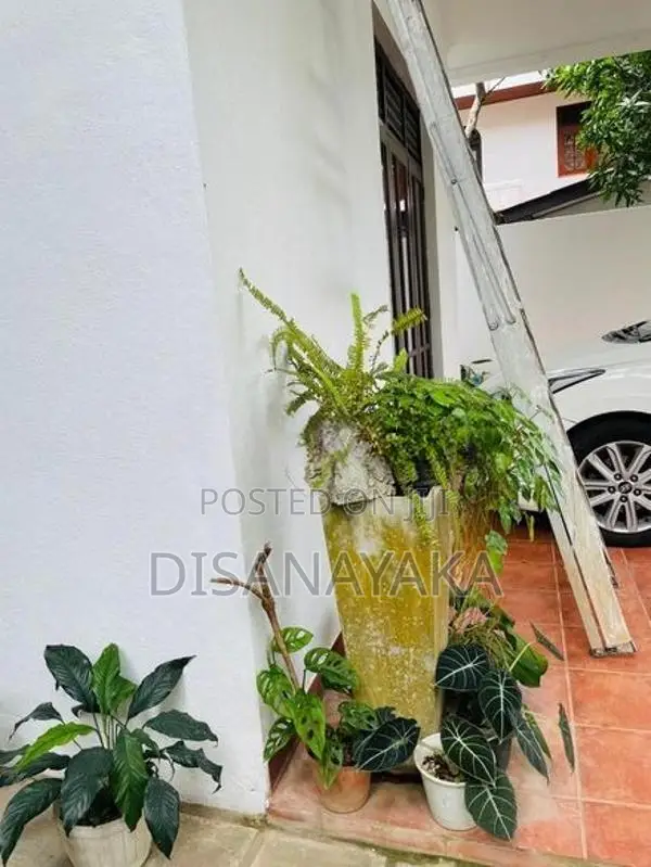super luxury house for sale Ds30100