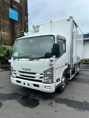 Isuzu Elf Full Body Freezer 2019