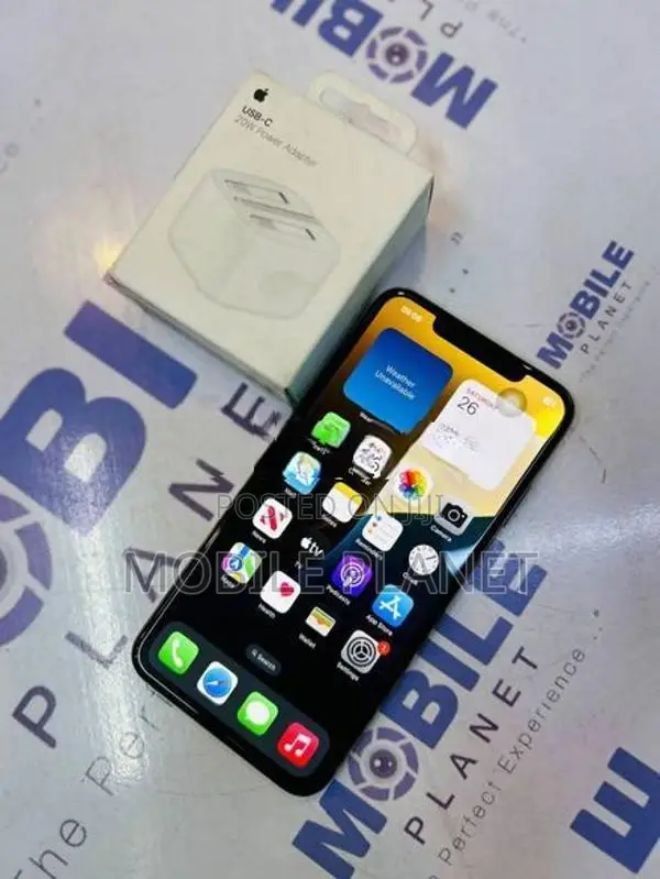 Apple iPhone XS Max 256GB (Used)