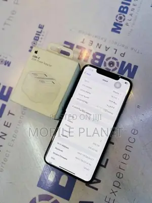 Apple iPhone XS Max 256GB (Used)