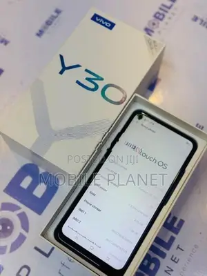 Vivo Y30 4GB 128GB (Used)
