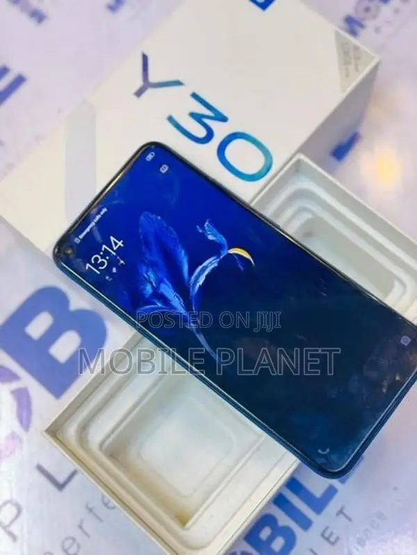 Vivo Y30 4GB 128GB (Used)