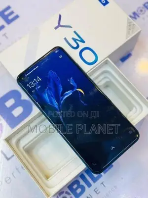 Vivo Y30 4GB 128GB (Used)