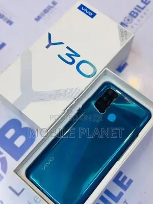 Vivo Y30 4GB 128GB (Used)
