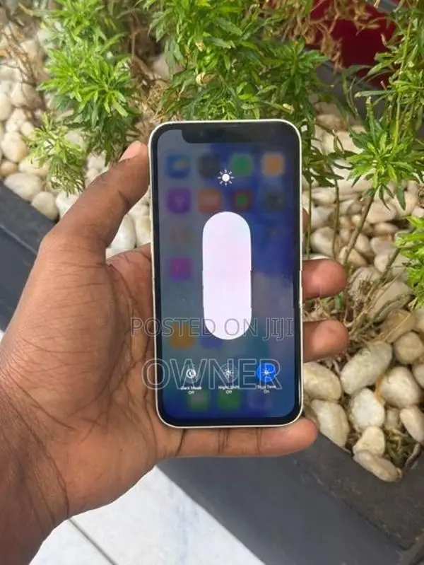 Apple iPhone 13 mini (Used)
