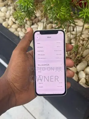 Apple iPhone 13 mini (Used)