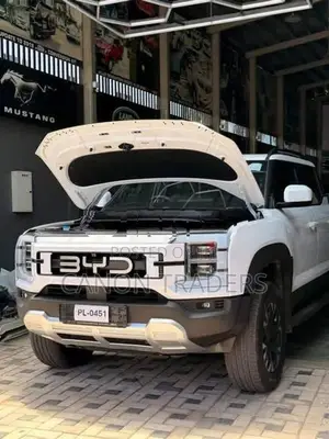 BYD Shark 6 Hamer Electric Roll Shutter & Victor Bar