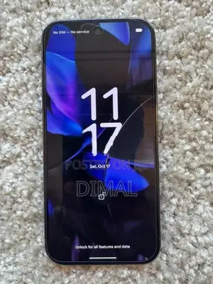 Google Pixel 9 Pro (Used)