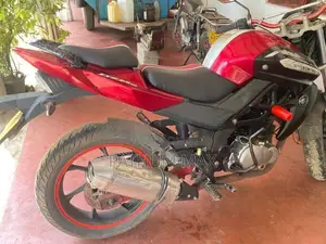 Demak DZM 200 2017