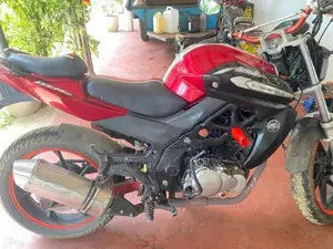 Demak DZM 200 2017