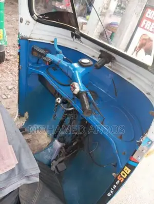 Bajaj 2 Stroke 1991 Three Wheel (Used)