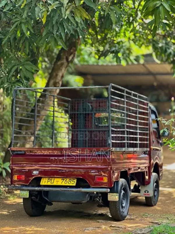 Tata Dimo Batta 2013 Lorry (Used)