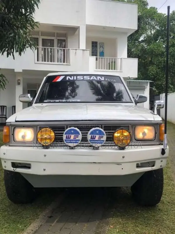 Nissan Datsun 1980 Pickup (Used)