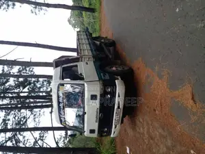 Mahindra Maxximo 2014 Lorry (Used)