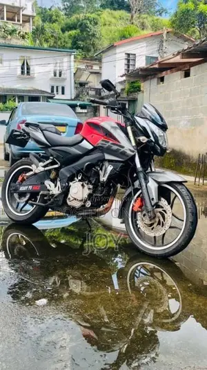 Bajaj Pulsar NS200 2013 Motorbike (Used)