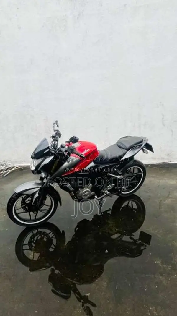 Bajaj Pulsar NS200 2013 Motorbike (Used)