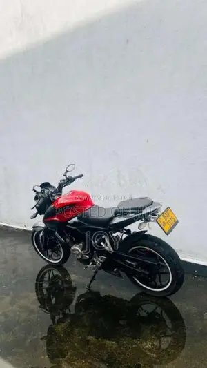 Bajaj Pulsar NS200 2013 Motorbike (Used)