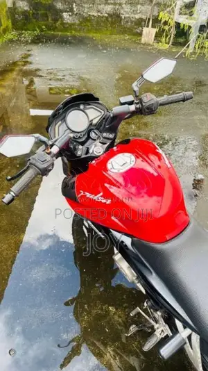 Bajaj Pulsar NS200 2013 Motorbike (Used)