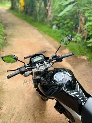 Yamaha Fz 2015 Motorbike (Used)