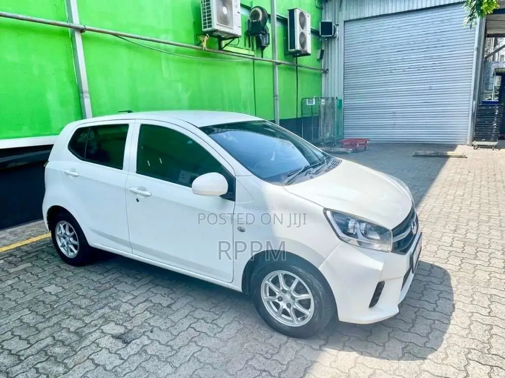 Perodua Axia G 2019 Car (Used)