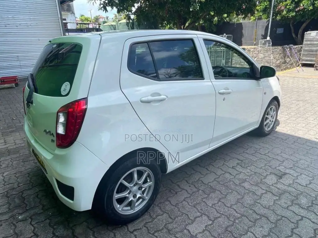 Perodua Axia G 2019 Car (Used)
